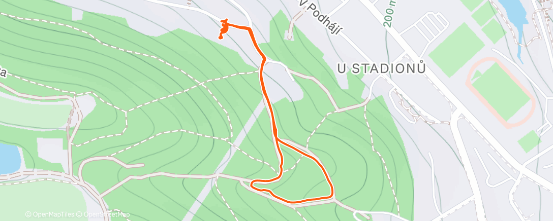 Карта физической активности (Afternoon Walk)