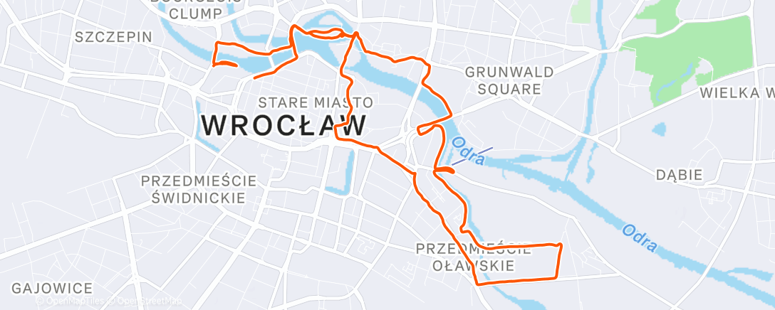 Map of the activity, Workout Run 24