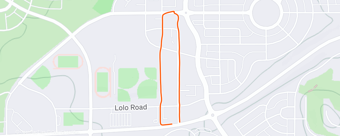 Карта физической активности (Afternoon Walk)