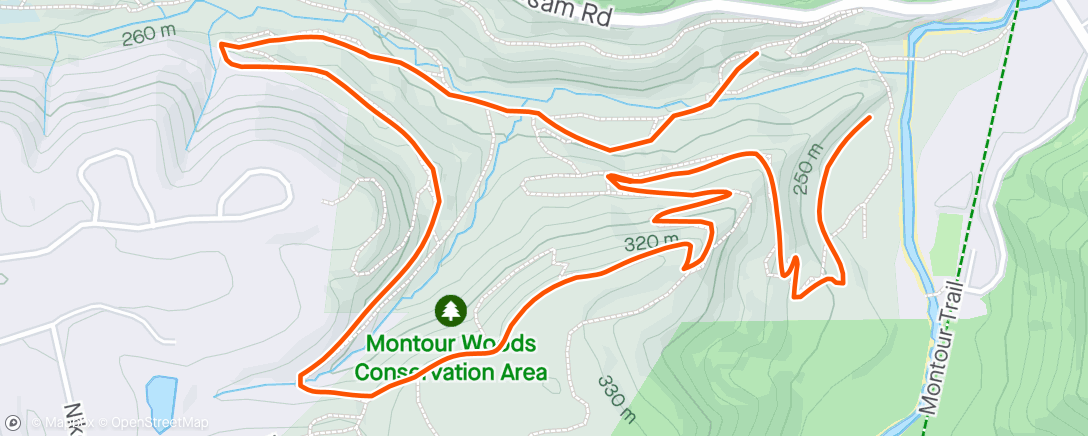 Mapa de la actividad (Montour woods hike with the fam)