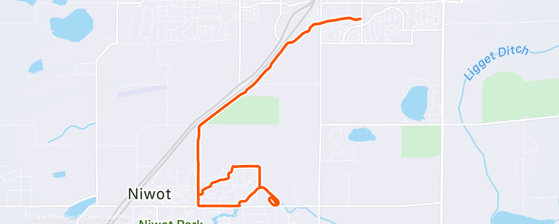 Mapa de la actividad (Morning Run)