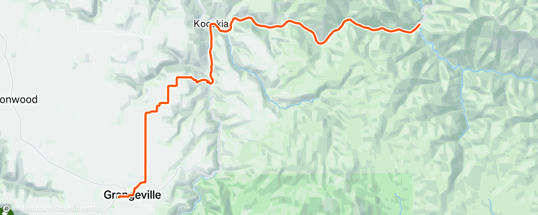 Map of the activity, Day 61!