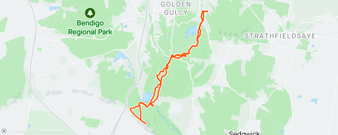 Map of the activity, Magic morning on Mt Herbert.✨🚵‍♀️✨