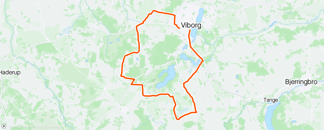 Map of the activity, Road Viborg
