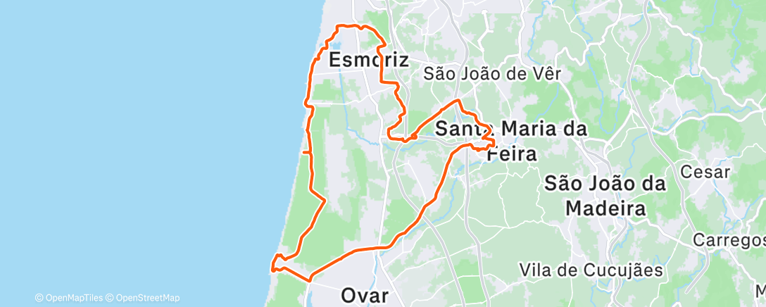 Карта физической активности (A dar as últimas do ano 🥂🥳)