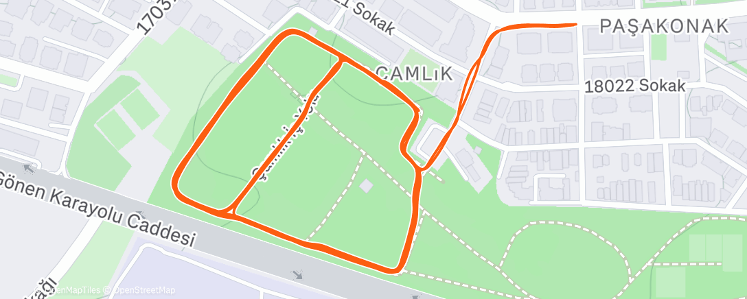 Map of the activity, 7t