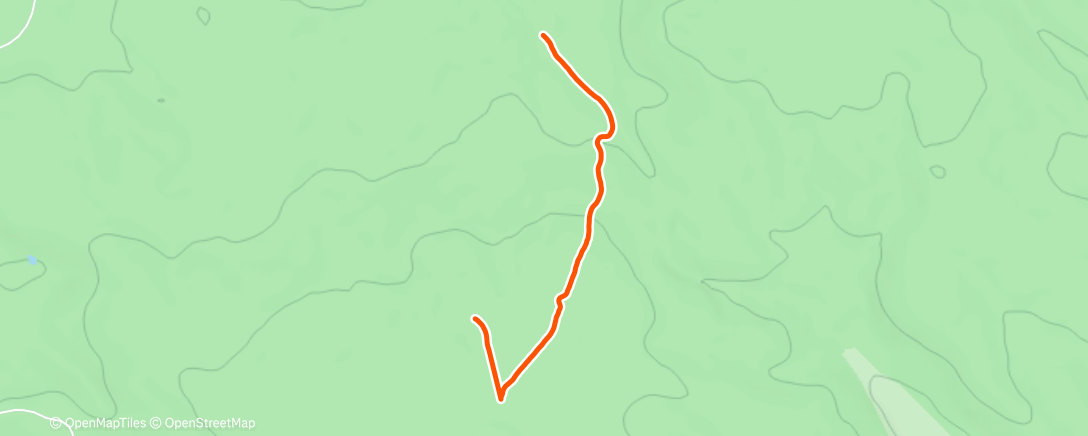Map of the activity, Morning Trail Run