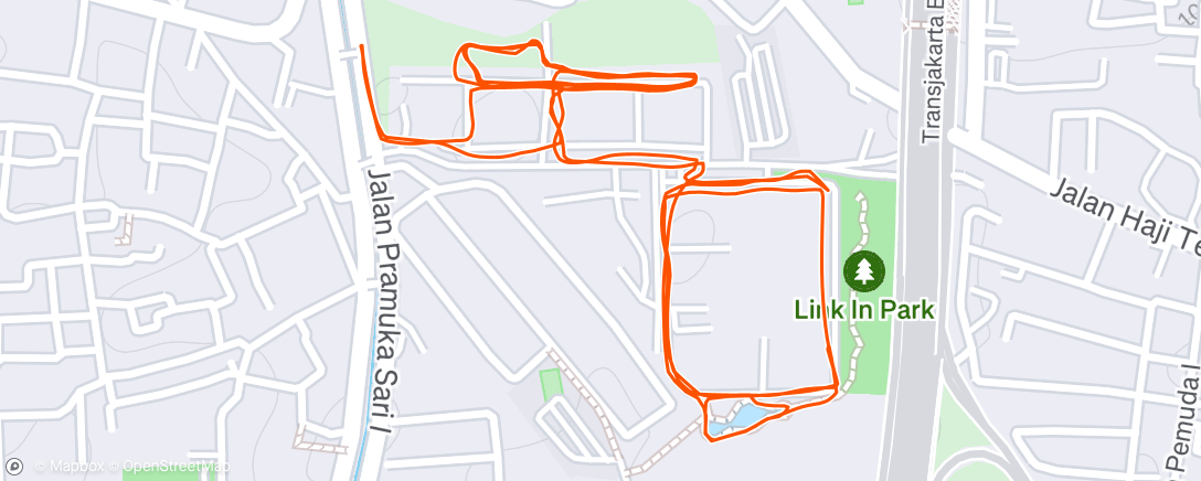 Map of the activity, Morning Run