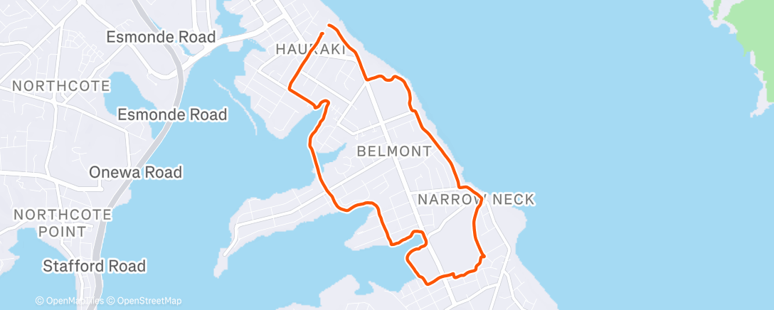 Карта физической активности (Morning Run)