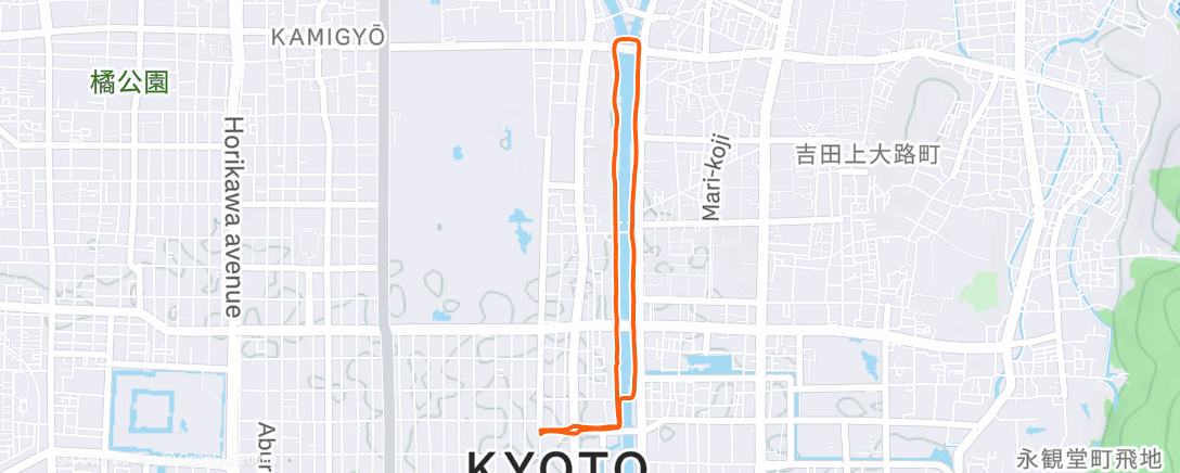 Map of the activity, 午後のランニング