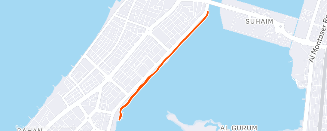 Карта физической активности (Morning Run)