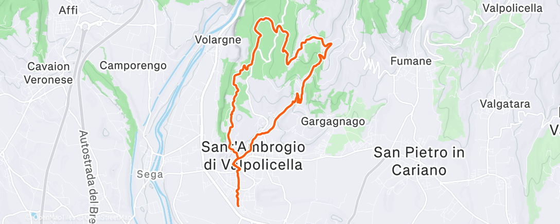 Map of the activity, Morning Trail Run