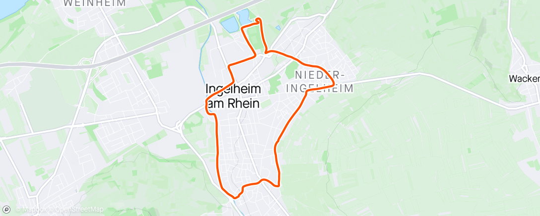 活动地图，Ingelheimrunde 🐕‍🦺