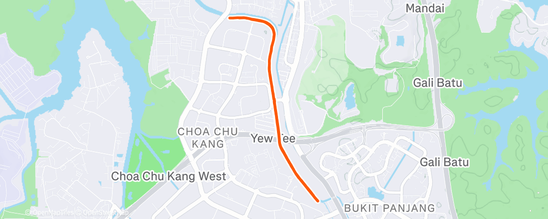 Mappa dell'attività Night Run