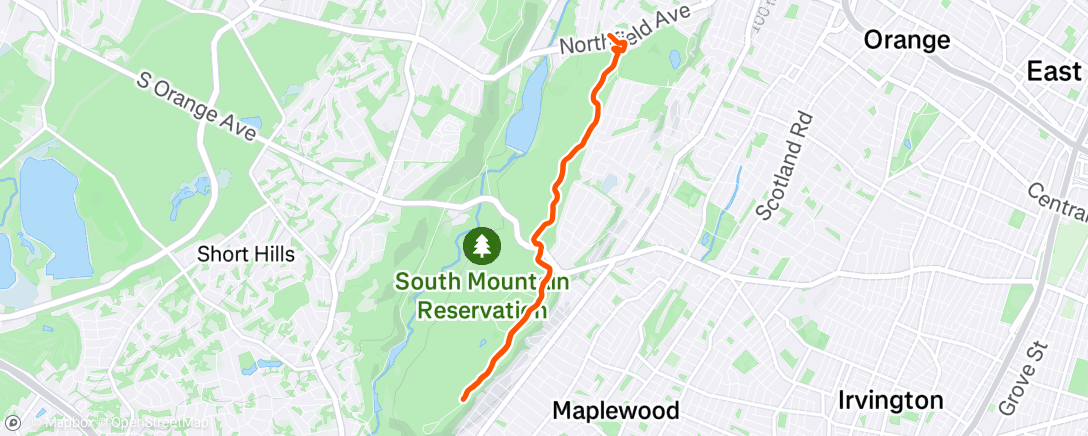 Map of the activity, Morning Trail Run