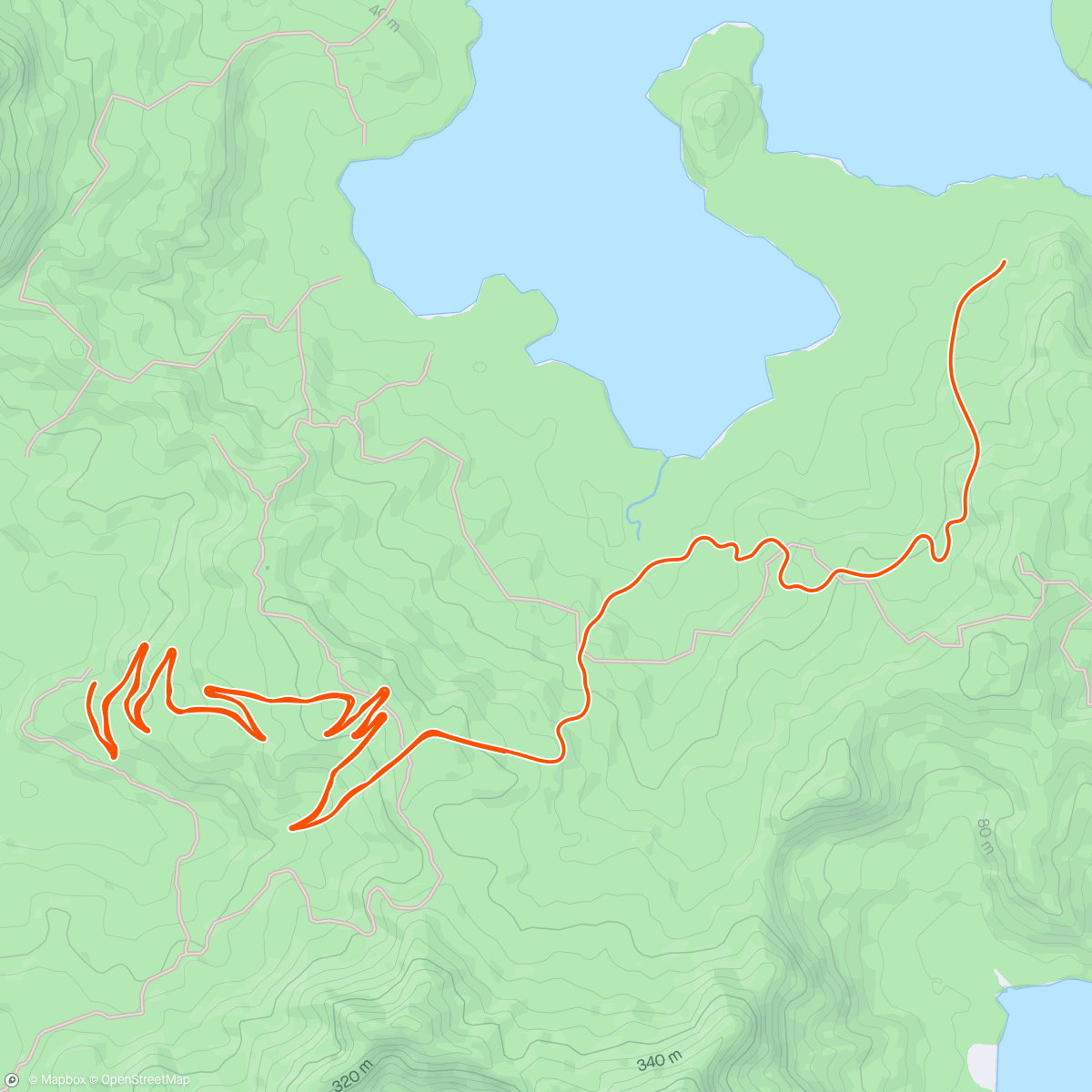 Map of the activity, Zwift - 40/20s + SST in Watopia