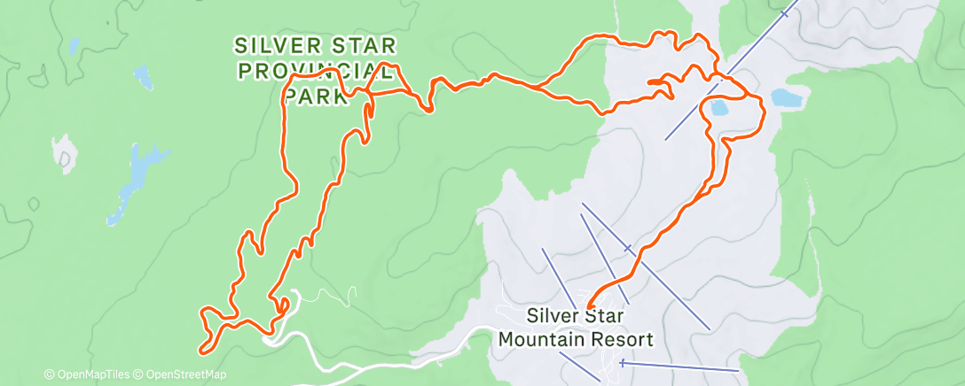 Карта физической активности (Morning Nordic Ski)