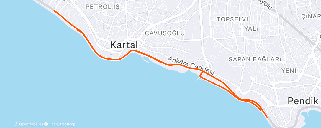 Карта физической активности (Morning Run)