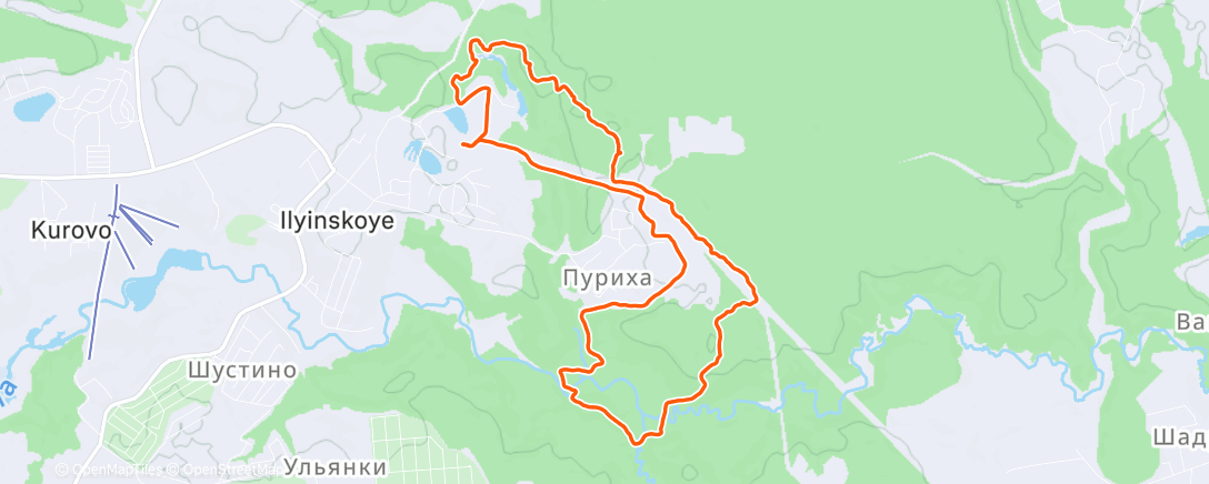 Map of the activity, Трейлраннинг (день)