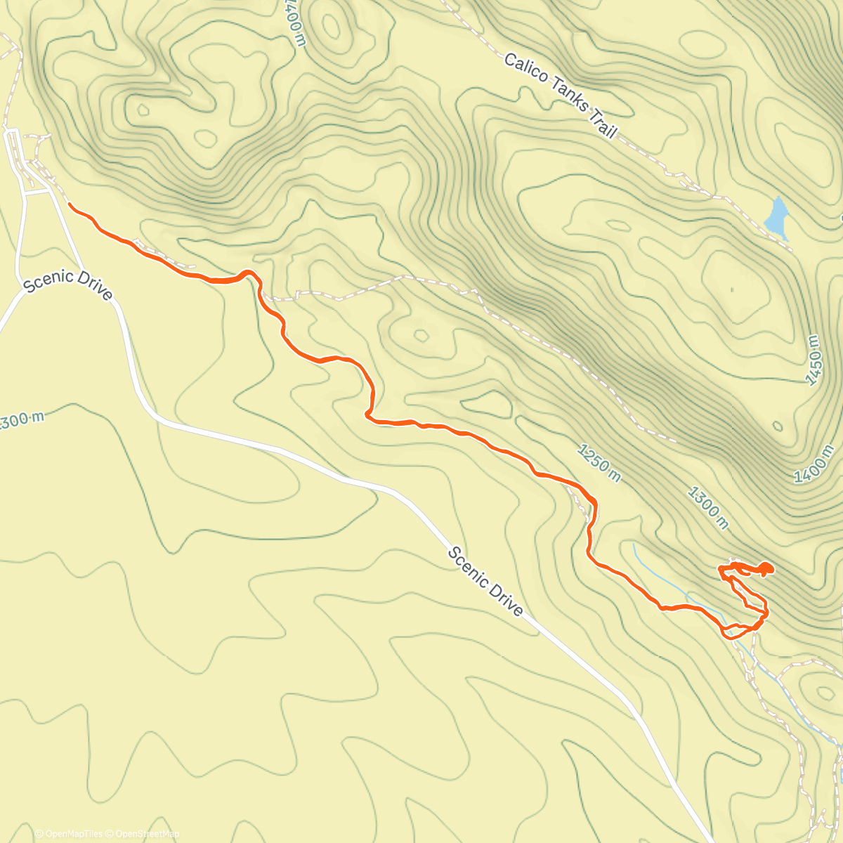 Map of the activity, The day was falling apart and then it wasn’t. So fun!