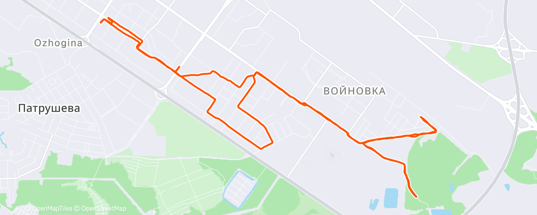 Карта физической активности (Утренний забег)