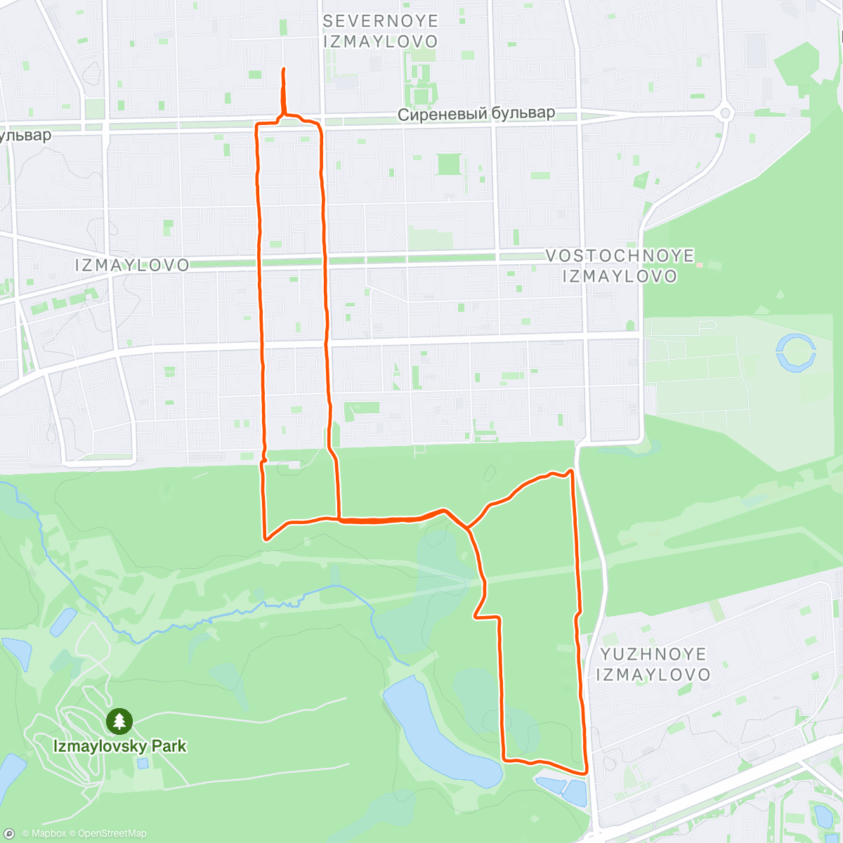 Map of the activity, Night Run