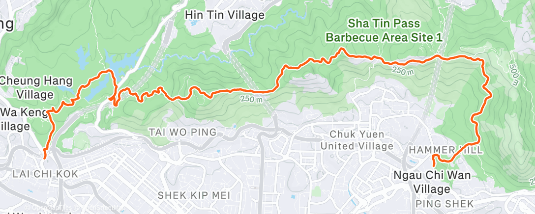 Карта физической активности (Evening Trail Run)