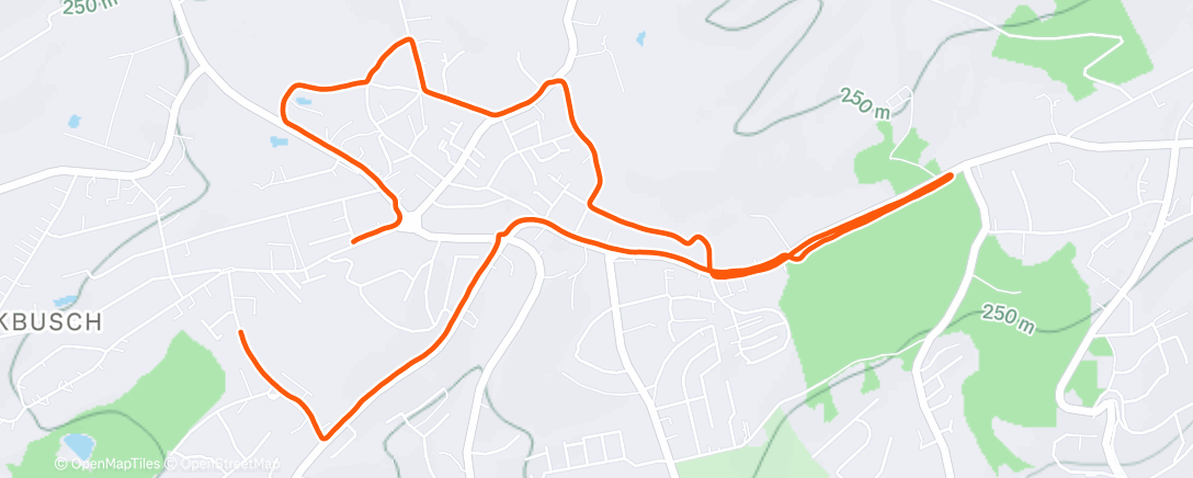 Карта физической активности (Morning Run)