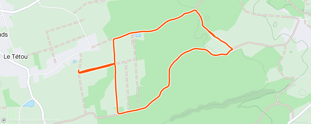 Mapa de la actividad, Course à pied dans l'après-midi