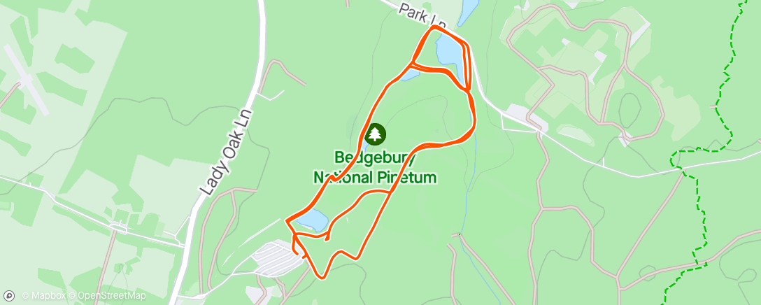 Mapa da atividade, Morning Bedgebury run 🌟