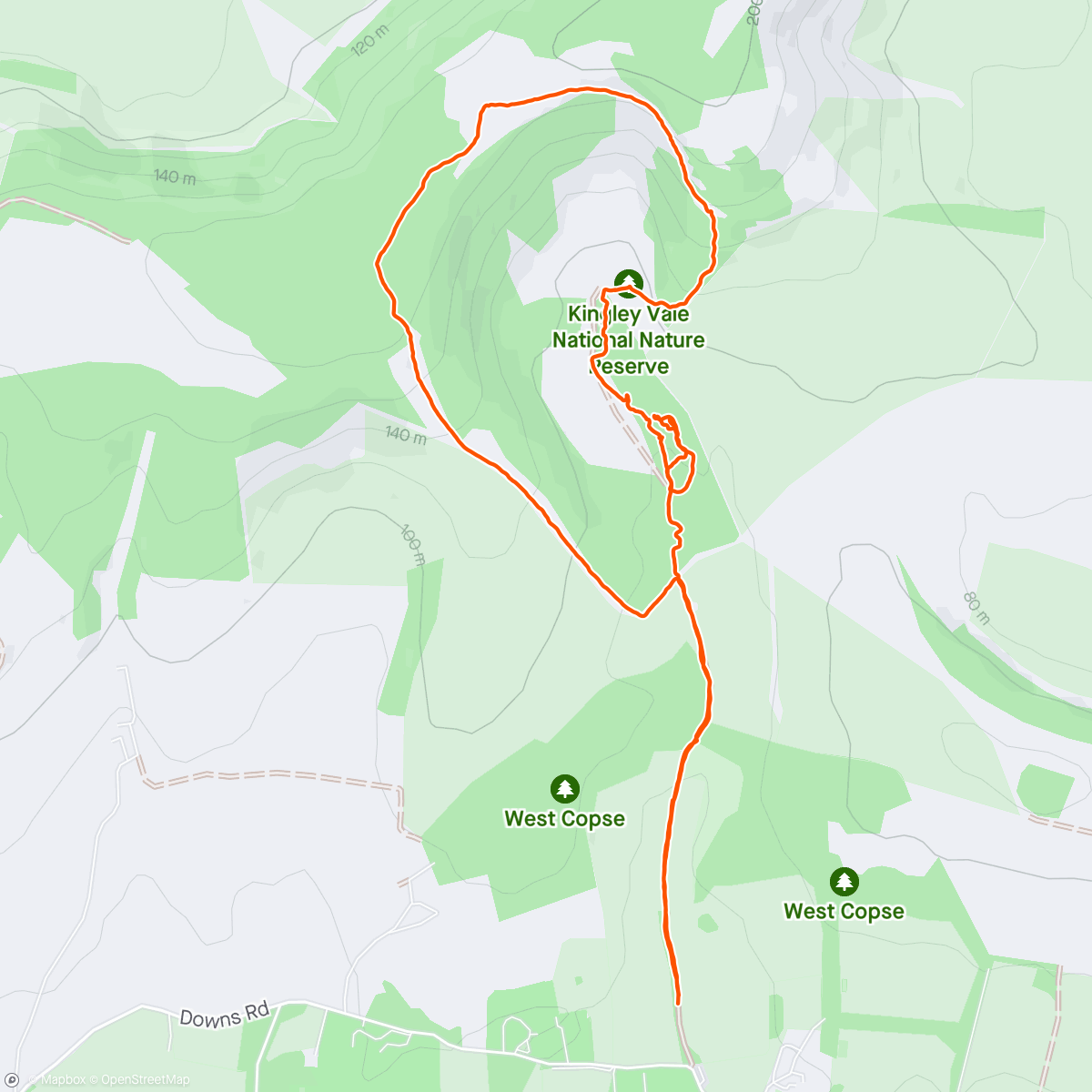 Map of the activity, Kingley Vale walk with Emma