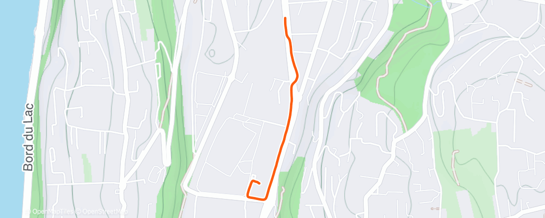 Mappa dell'attività Afternoon Run