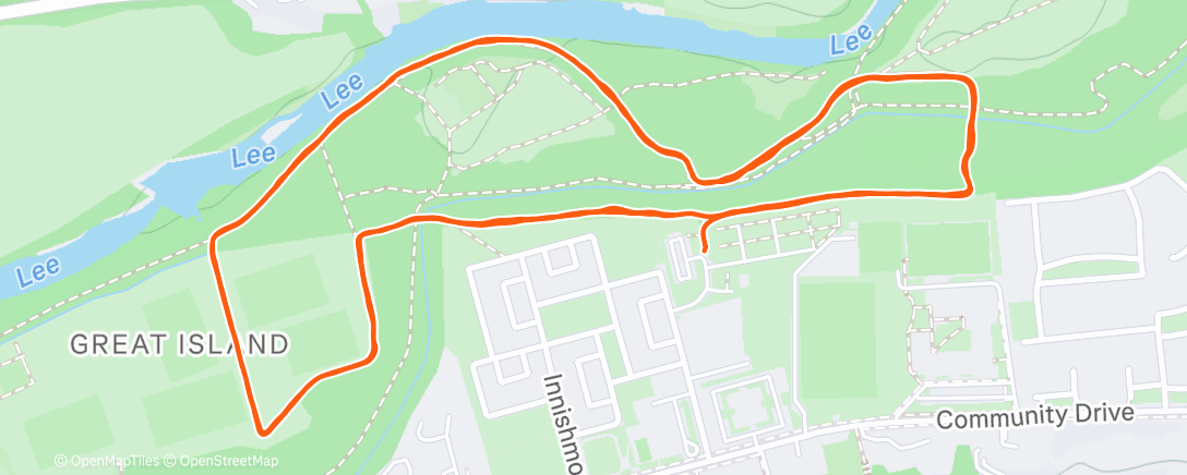 Map of the activity, New year new me etc