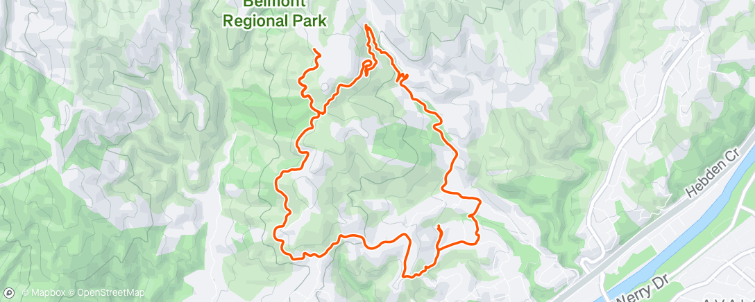 Mappa dell'attività Morning Run