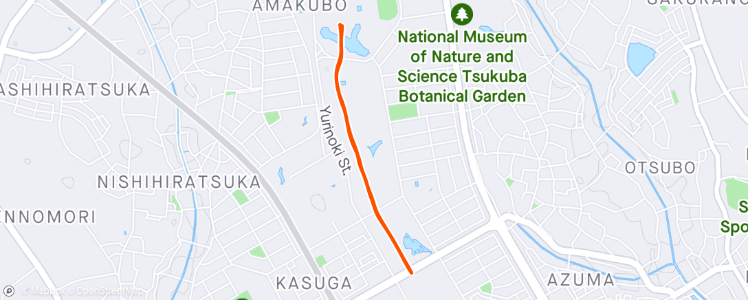 Map of the activity, Evening Run