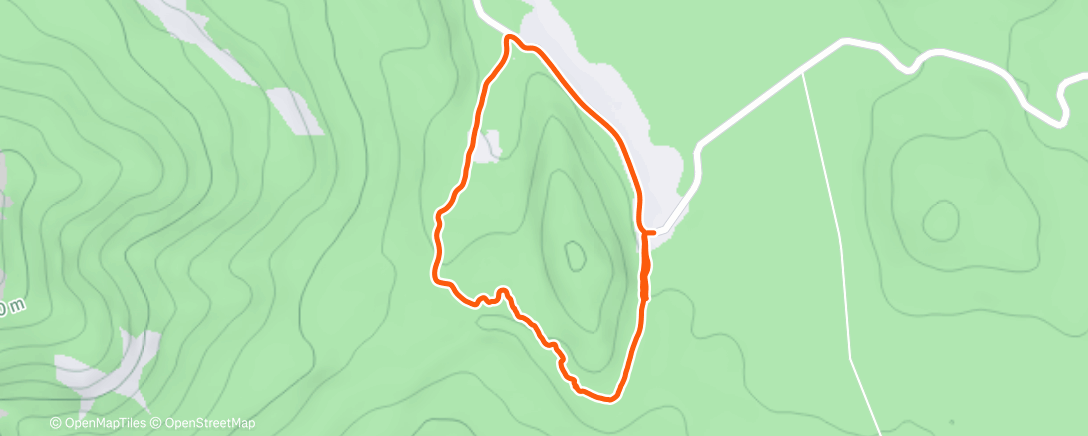 Карта физической активности (Caminata de tarde)