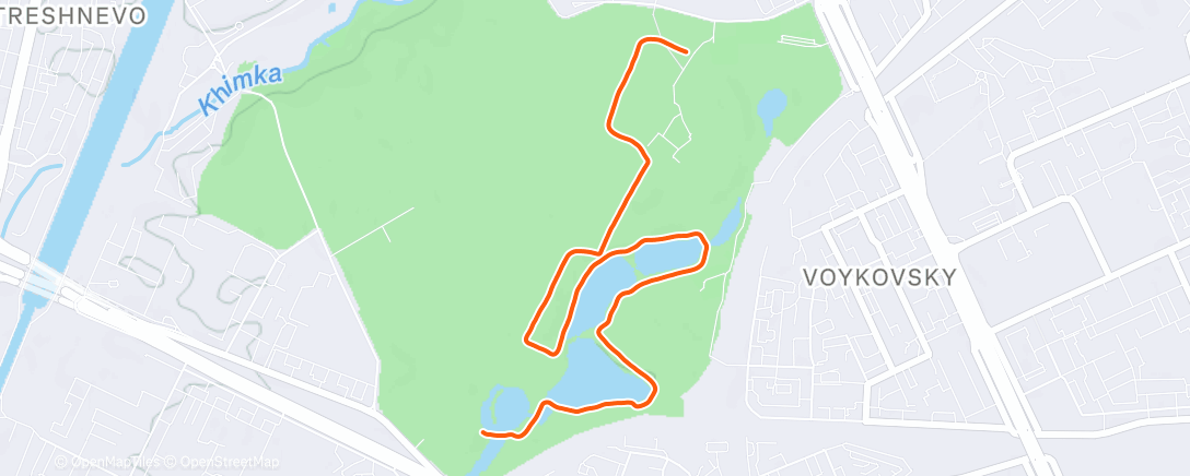 Map of the activity, Morning Run