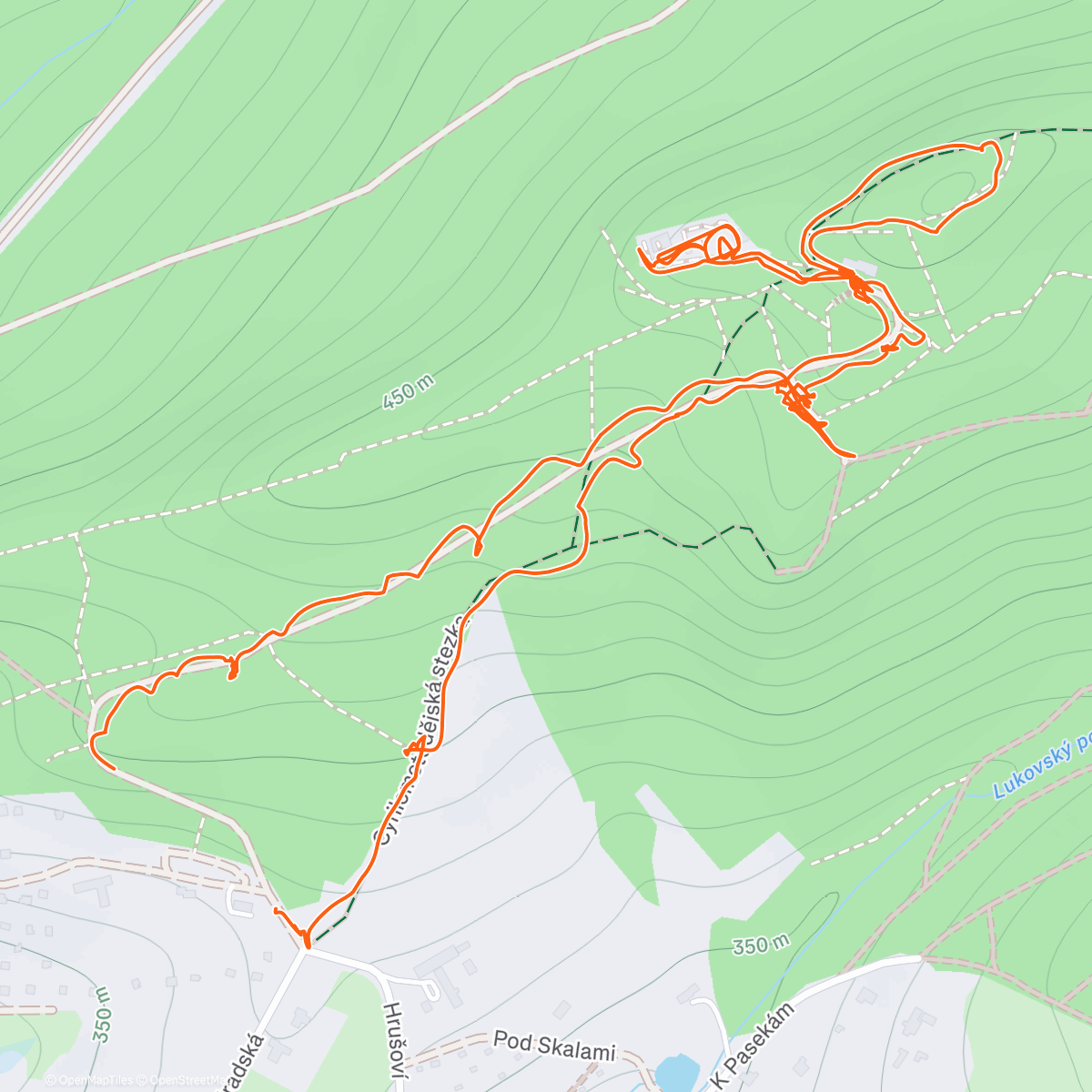 Карта физической активности (Lukov 🦮🏰)