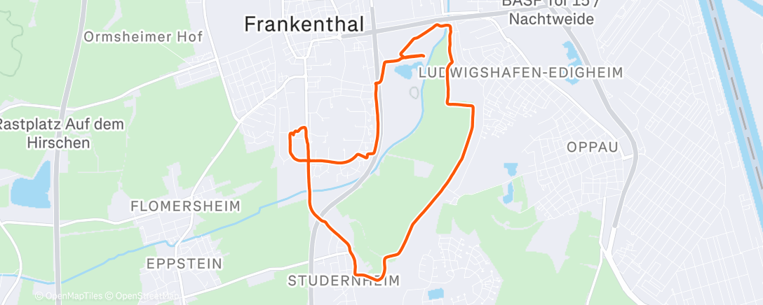 Карта физической активности (Lauf am Morgen)