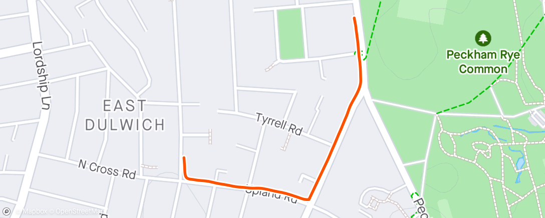 Map of the activity, Evening Run