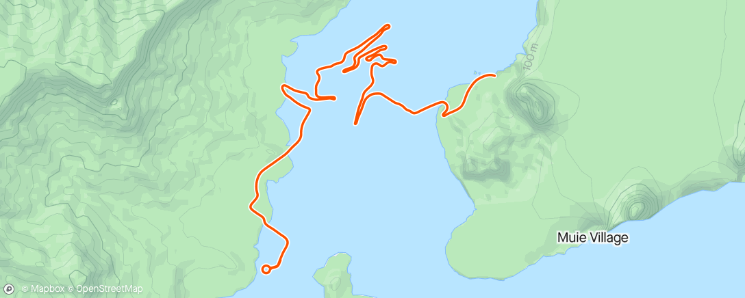 Карта физической активности (Zwift - Cadence Crusher on Coll d'Ordino in Watopia)