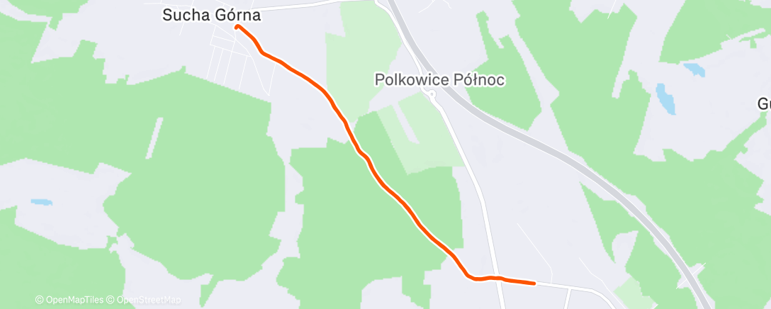 Map of the activity, Morning Run