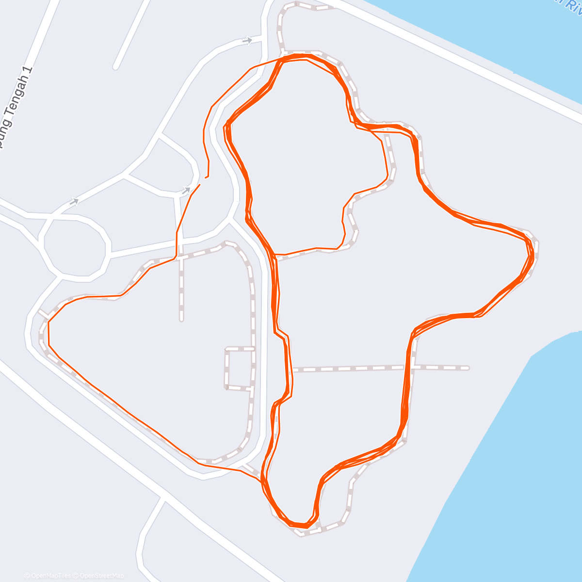Map of the activity, Night Walk