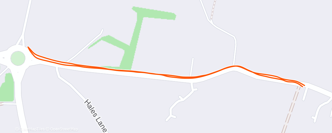 Карта физической активности (🐶)