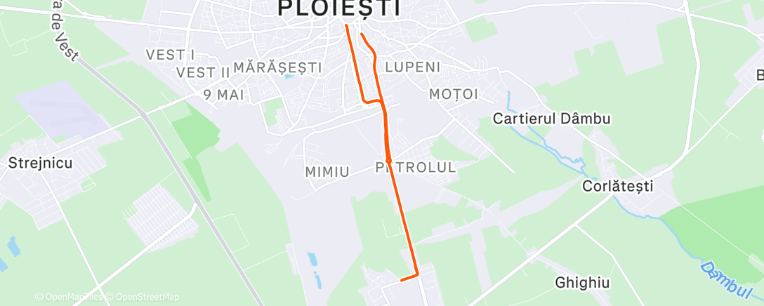 Map of the activity, Night Run