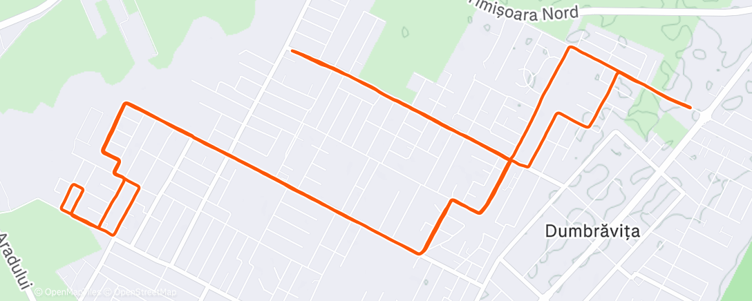 Карта физической активности (Lunch Run)