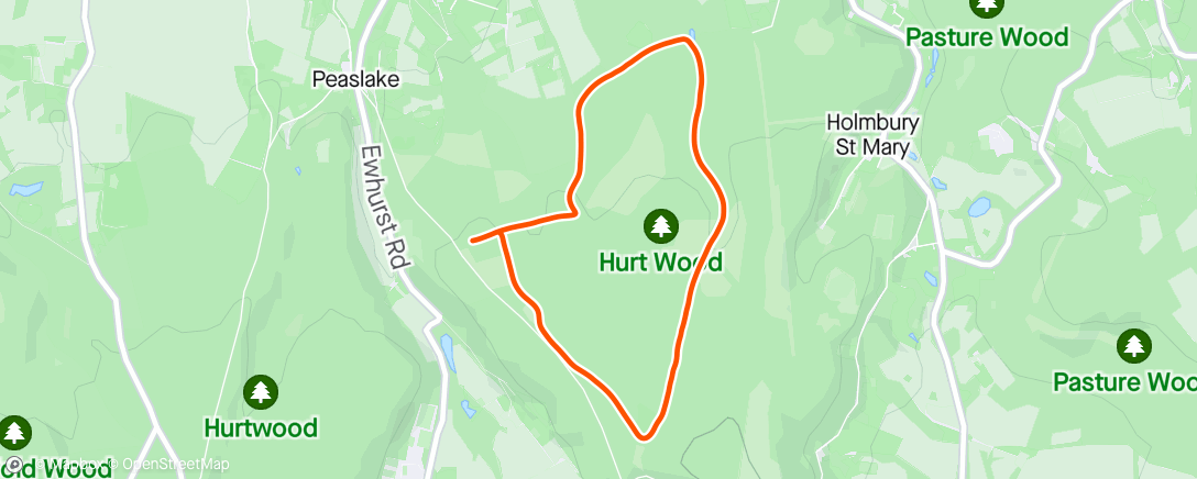 Map of the activity, Holmbury Hill dog run