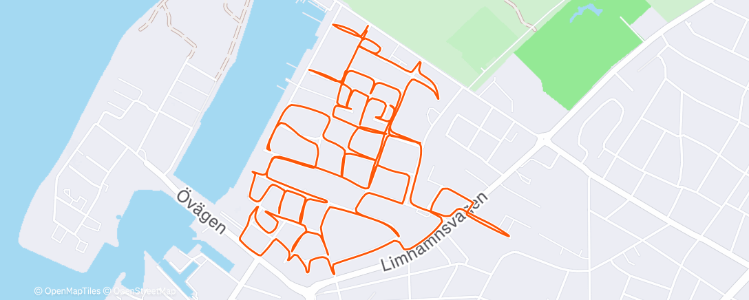 Карта физической активности (Citystrides +23)