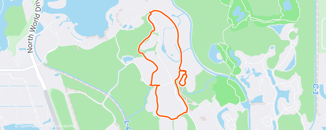 Map of the activity, Morning Run