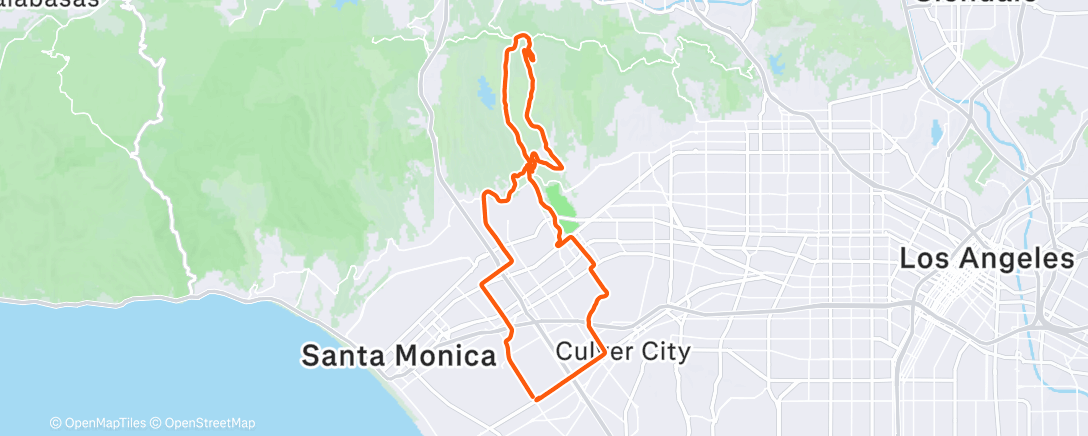 Map of the activity, The Mixed Race